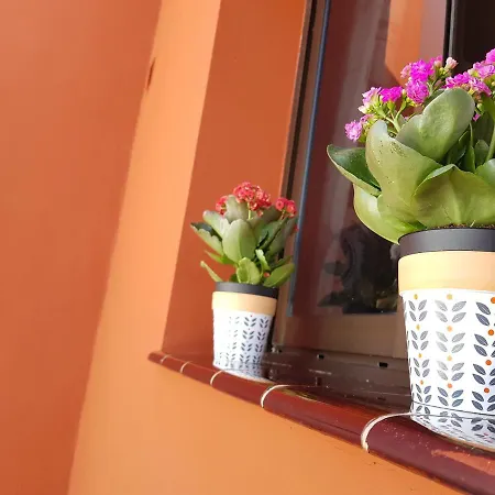 Apartment Teno Mountains&bananas Garden House *